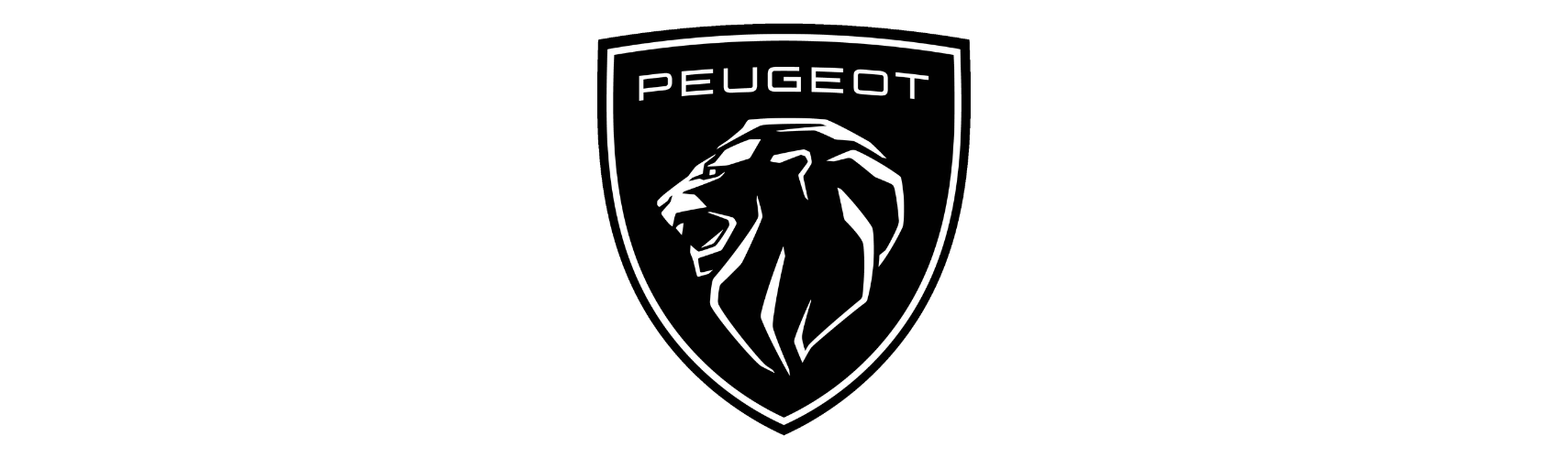 Program Manager